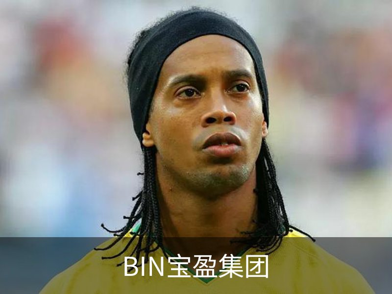 关于BIN宝盈集团